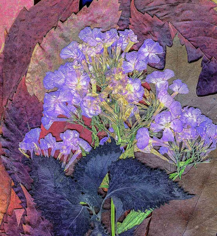 Цветы и листья в  сканере  "EPSON Perfection 4870 PHOTO". - Игорь Олегович Кравченко
