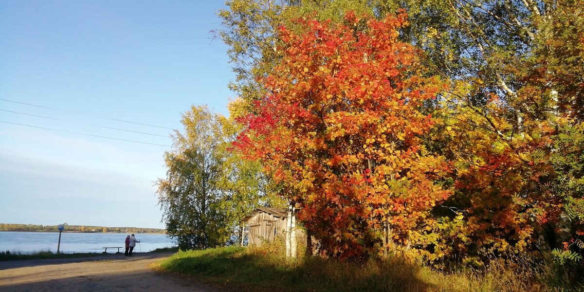 07.10.2020г - Шаркова Антонина 