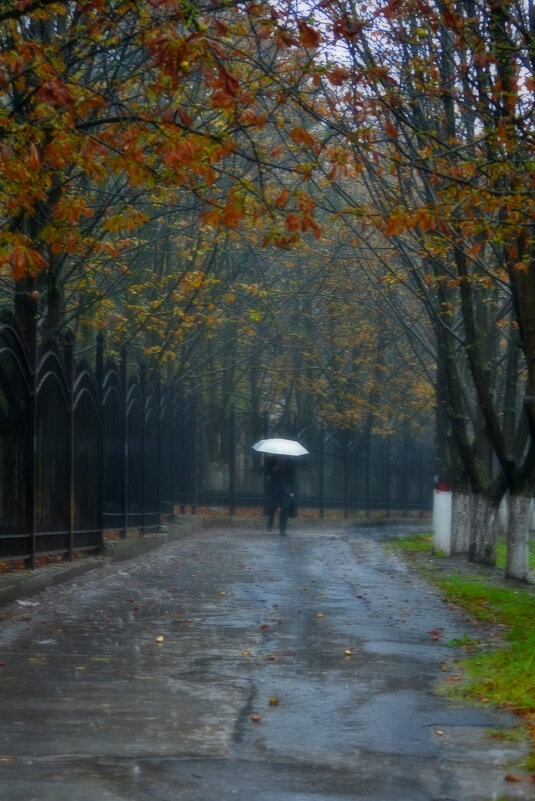Ветер, осень, дождь... - Nina Streapan