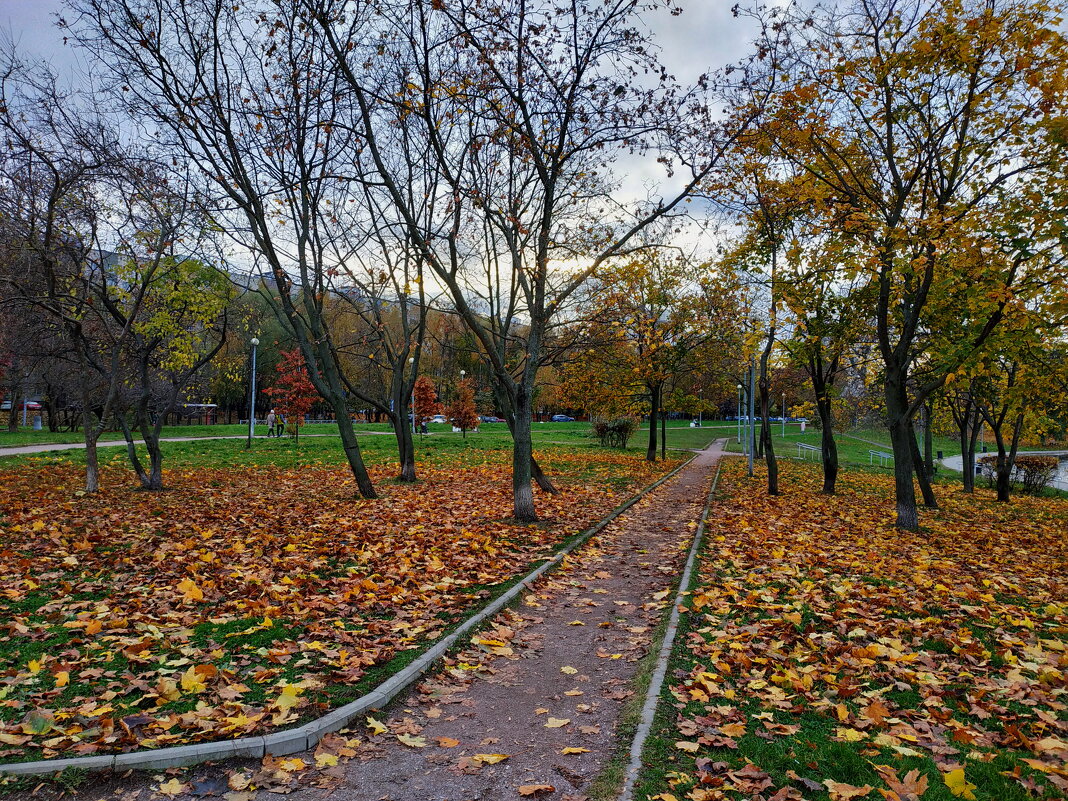 Зрелая осень в городе - Андрей Лукьянов