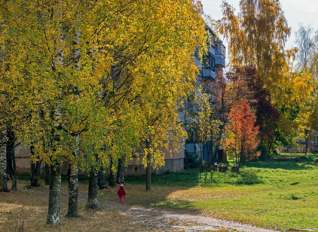 Во дворе осень - gribushko грибушко Николай