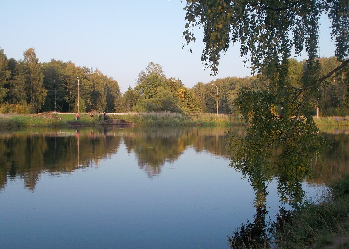 Осень первоначальная... - Лия ☼