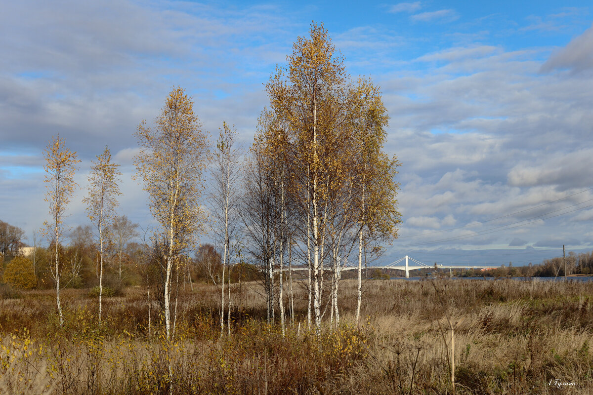 Родина моя - Людмила Гулина