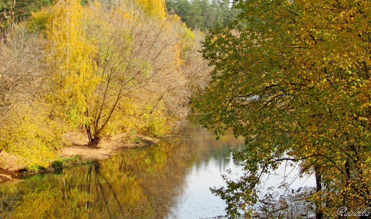 Лесное озеро - Raduzka (Надежда Веркина)