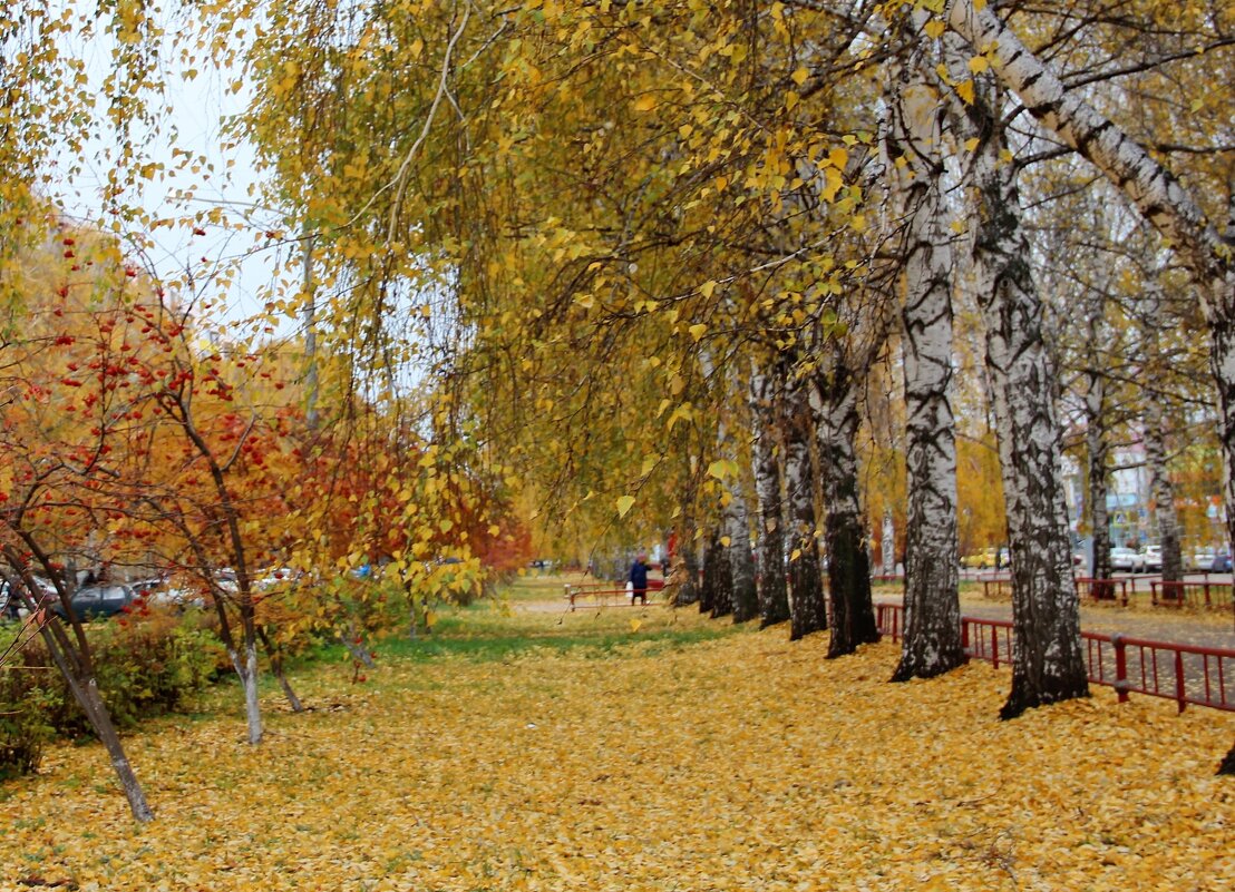Листья  жёлтые над городом кружатся . - Венера Чуйкова