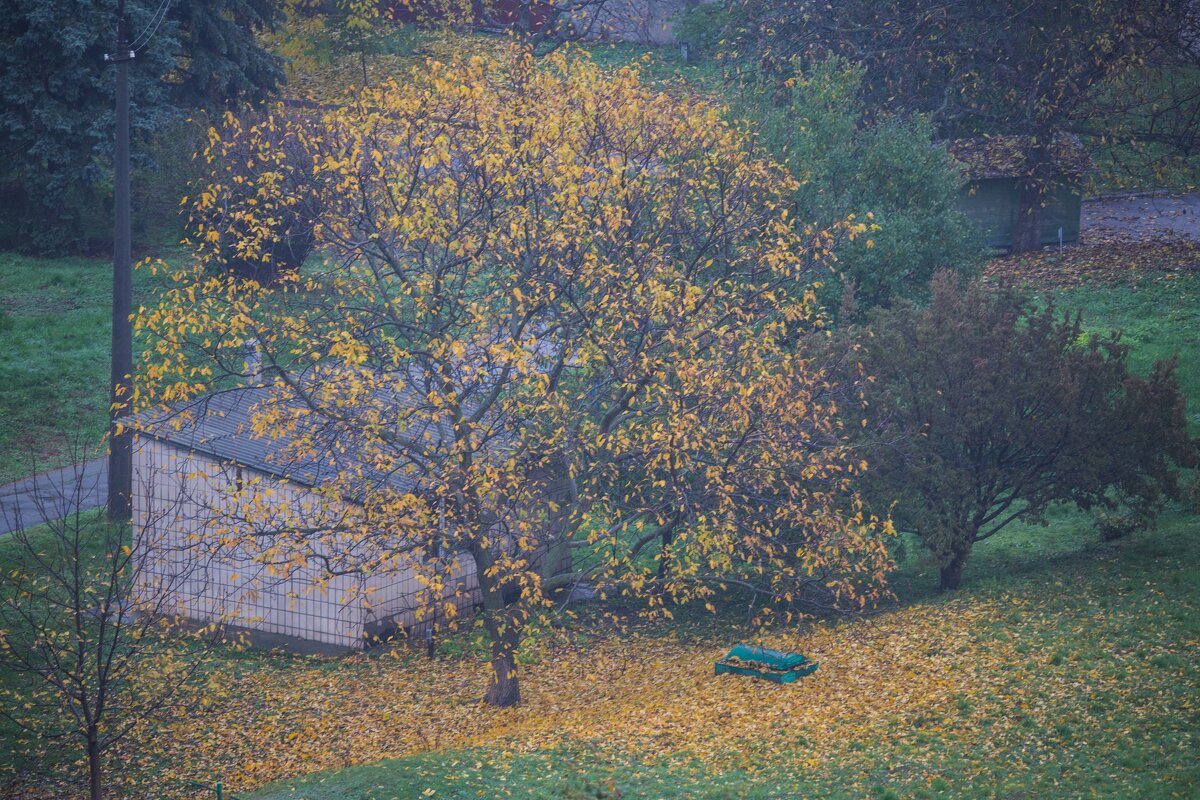 Осень в городе - Олег 