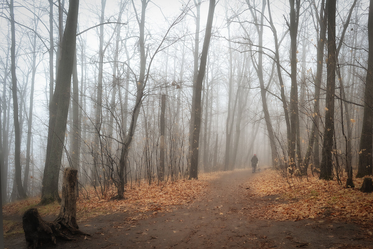 Прогулка в тумане - Александр Беляков