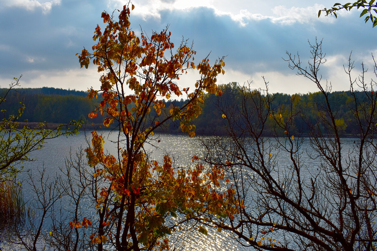 Осень у озера - Nina Streapan