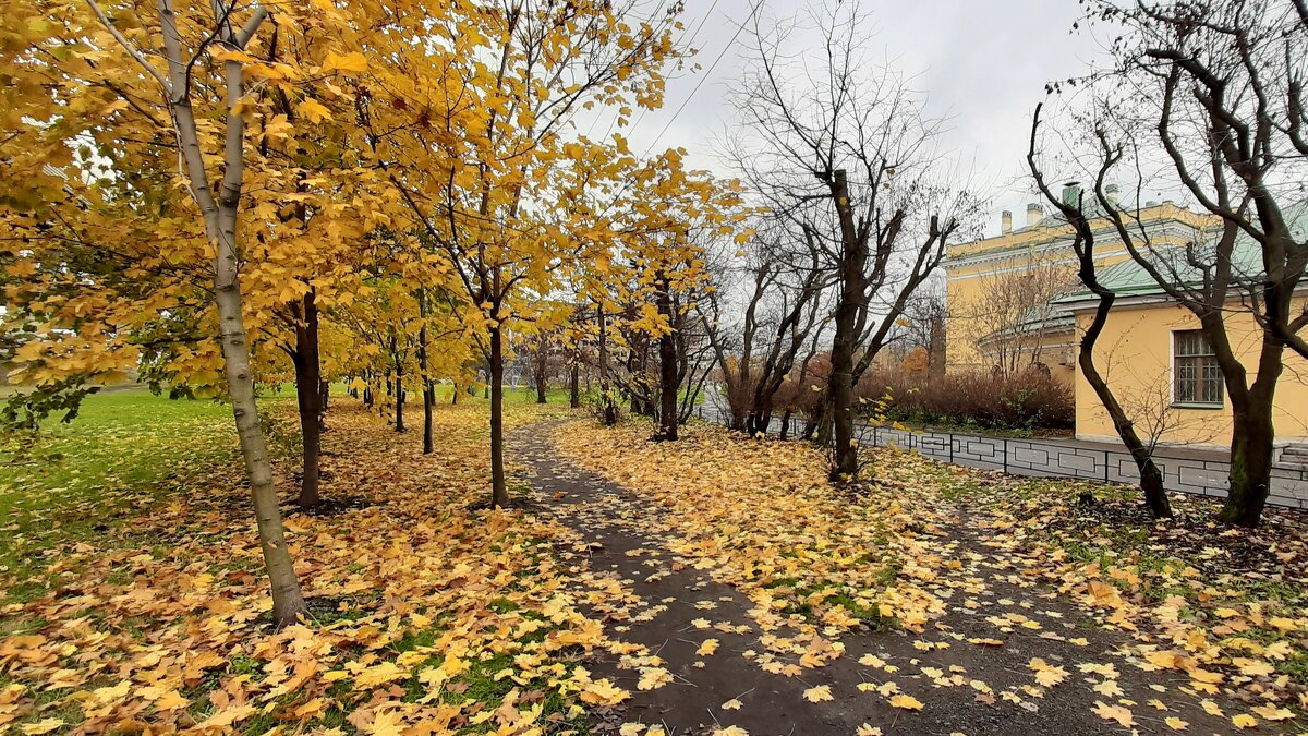 Прогулка по осеннему городу - Наталья Герасимова