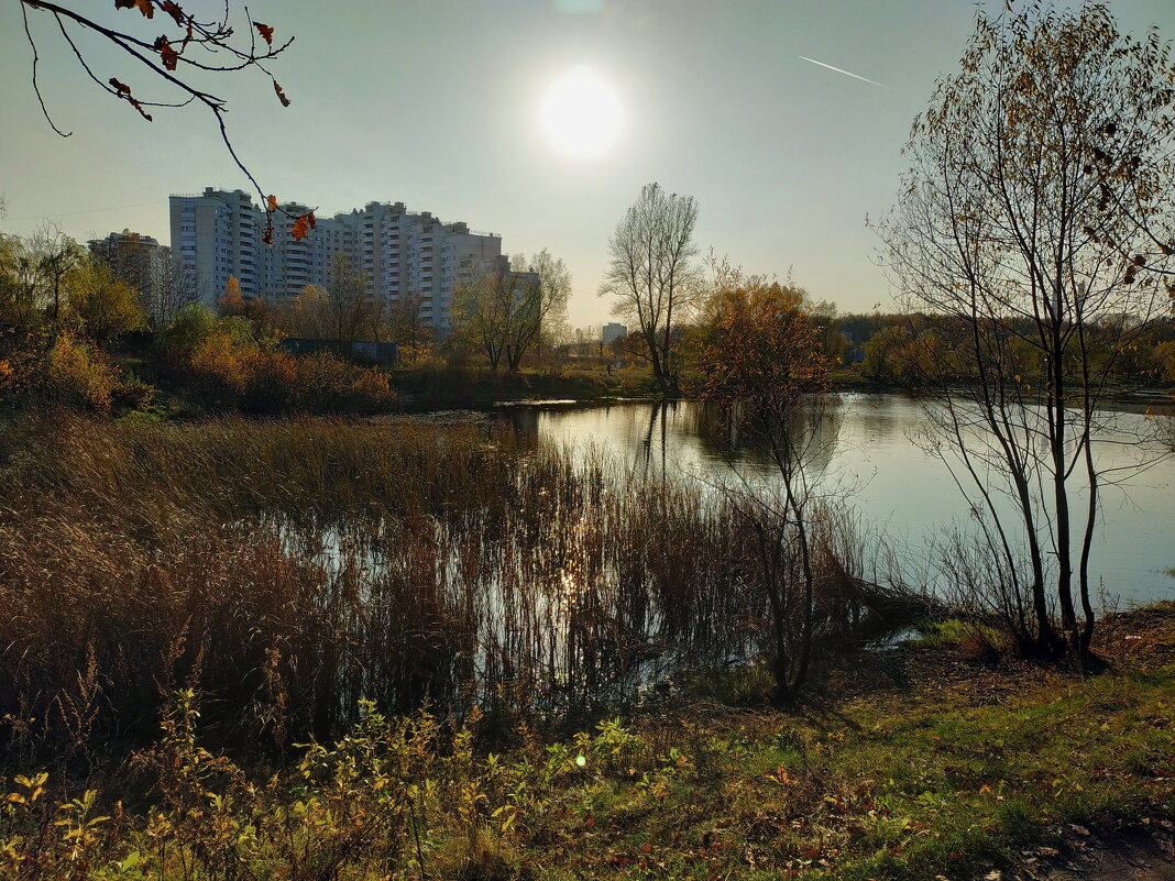 В ноябре мой самый любимый месяц - октябрь - Андрей Лукьянов