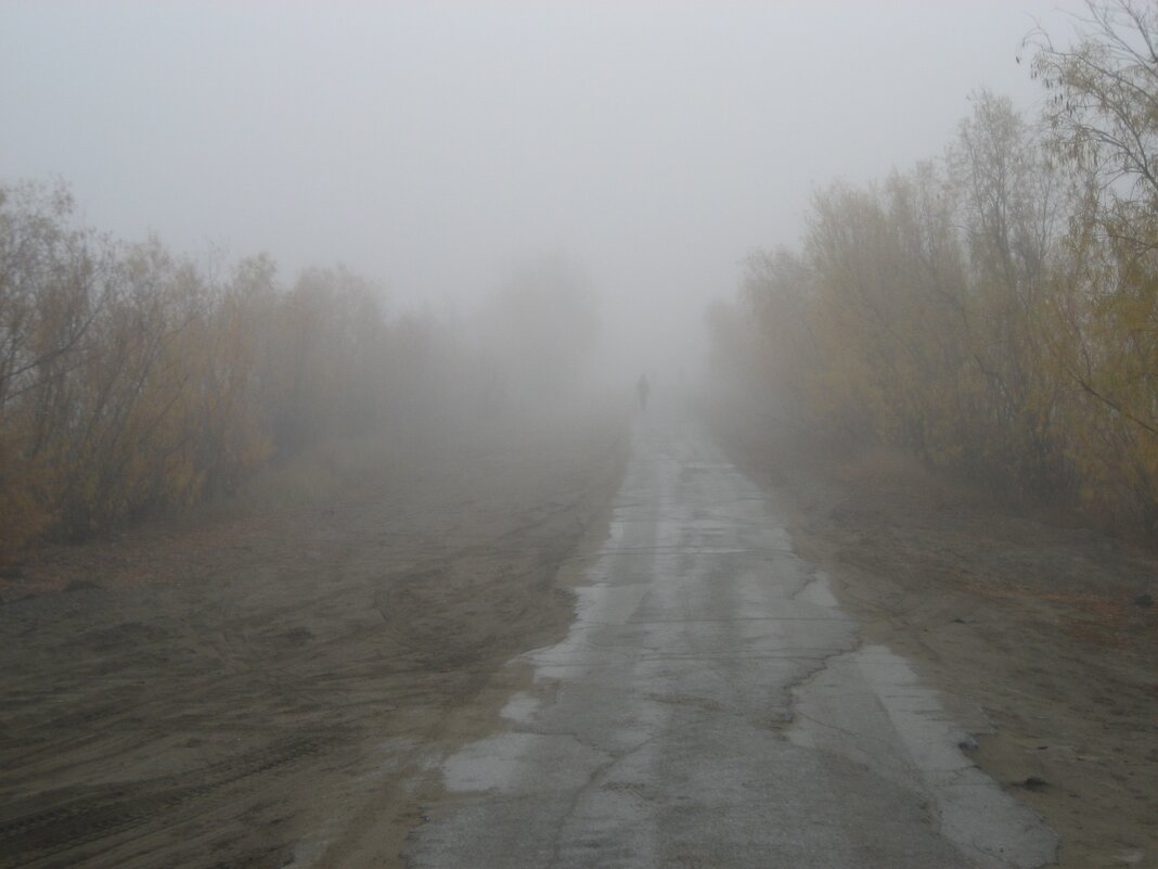 Утренний туман - Anna Ivanova