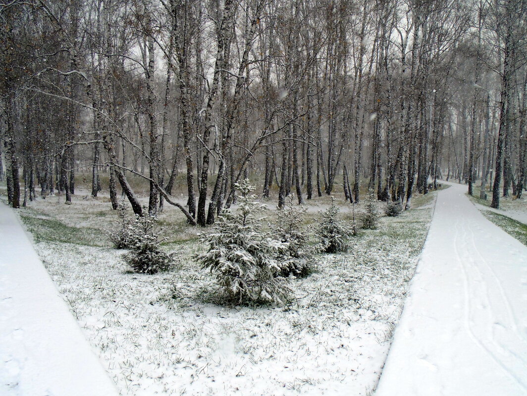 Первый снег в октябре. - Мила Бовкун