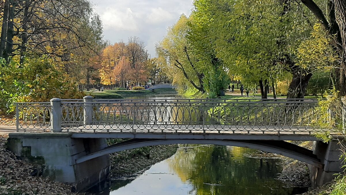В Таврическом саду. Мост - Елена Павлова (Смолова)