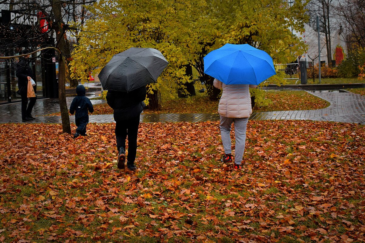 Осень не причина для грусти , а причина - взять зонтик и пойти гулять. - Татьяна Помогалова
