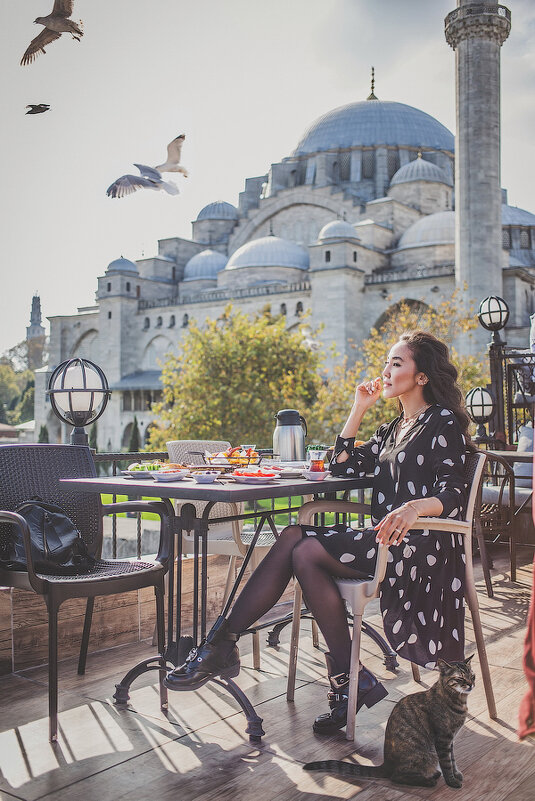 Завтрак в Стамбуле - Ирина Лепнёва