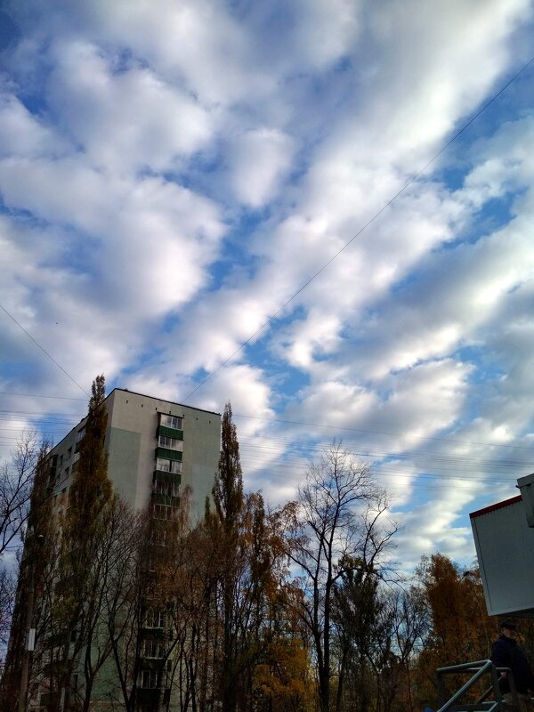 Облака над городом - Марина Кушнарева