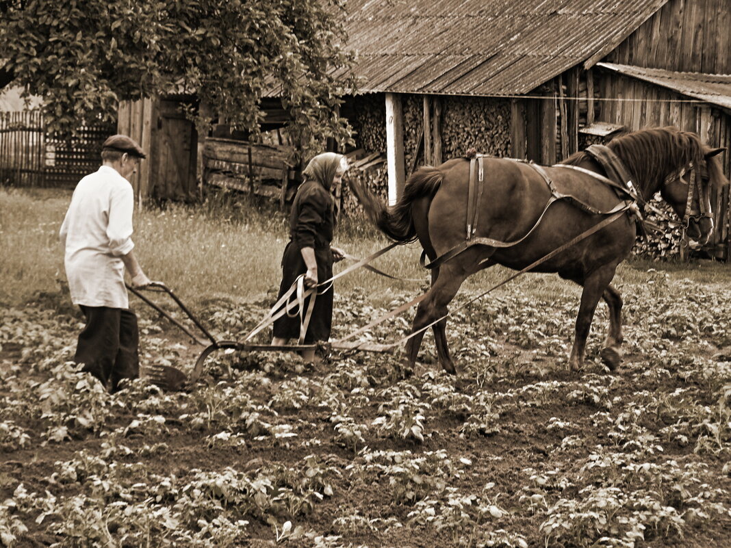 Будни села - олег свирский 