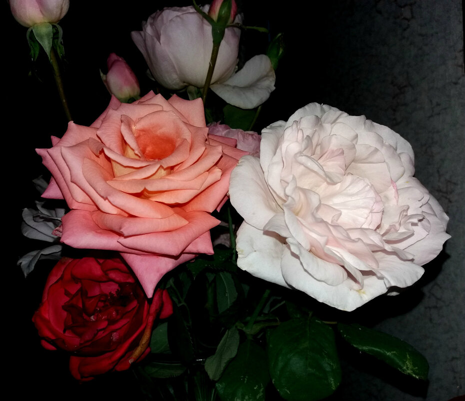Как хороши и свежи были розы в саду - Татьяна 