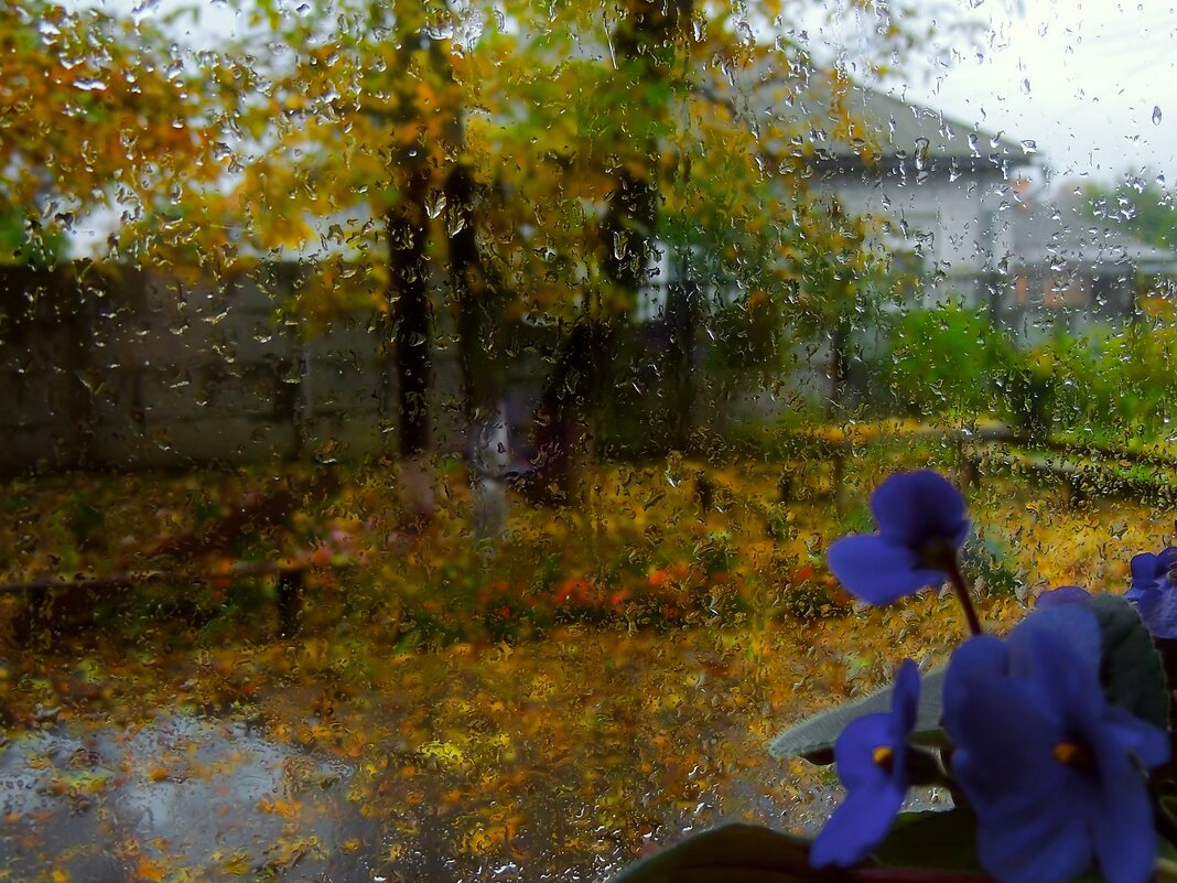 Осень - Роман Савоцкий
