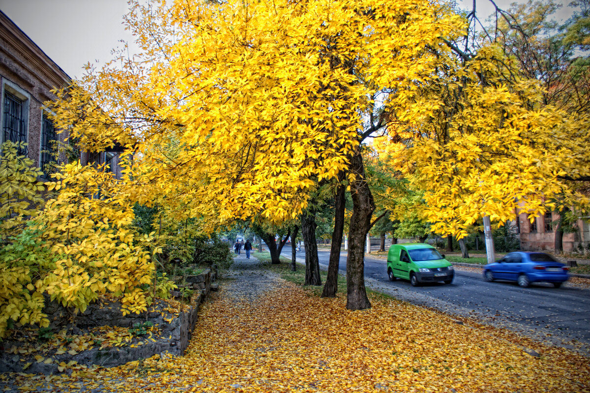 Осень в городе - Сергей Порфирьев