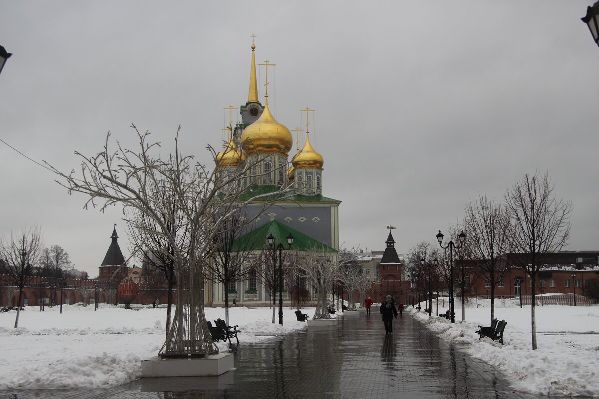 Пасмурным днем. Тула - Маргарита ( Марта ) Дрожжина