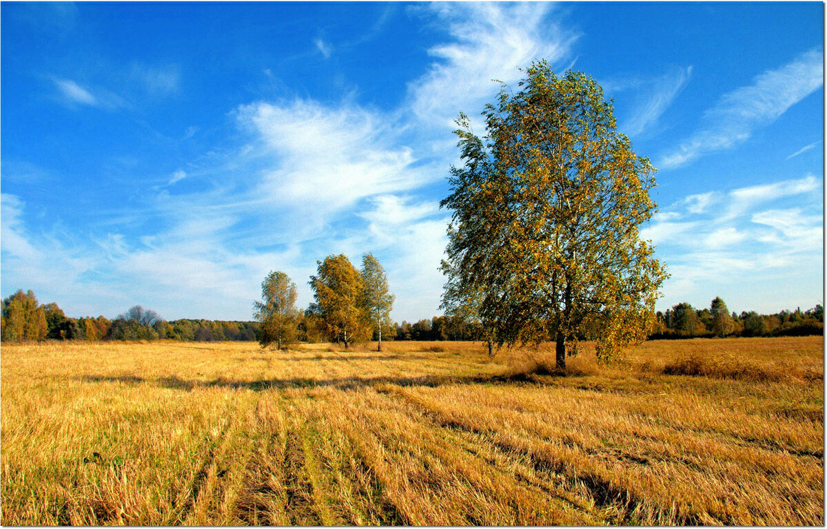 Осень - Вячеслав Минаев