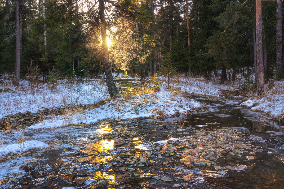 Закат в лесу - Vladimbormotov 