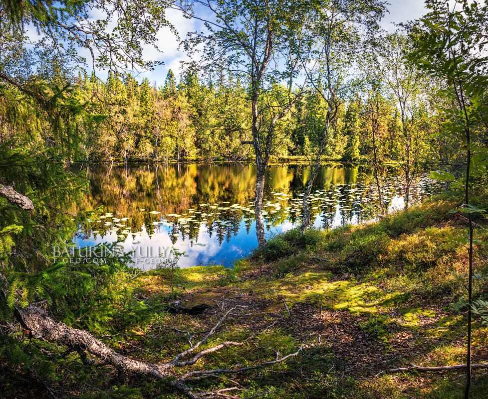 Пейзаж озера в лесу - Юлия Батурина