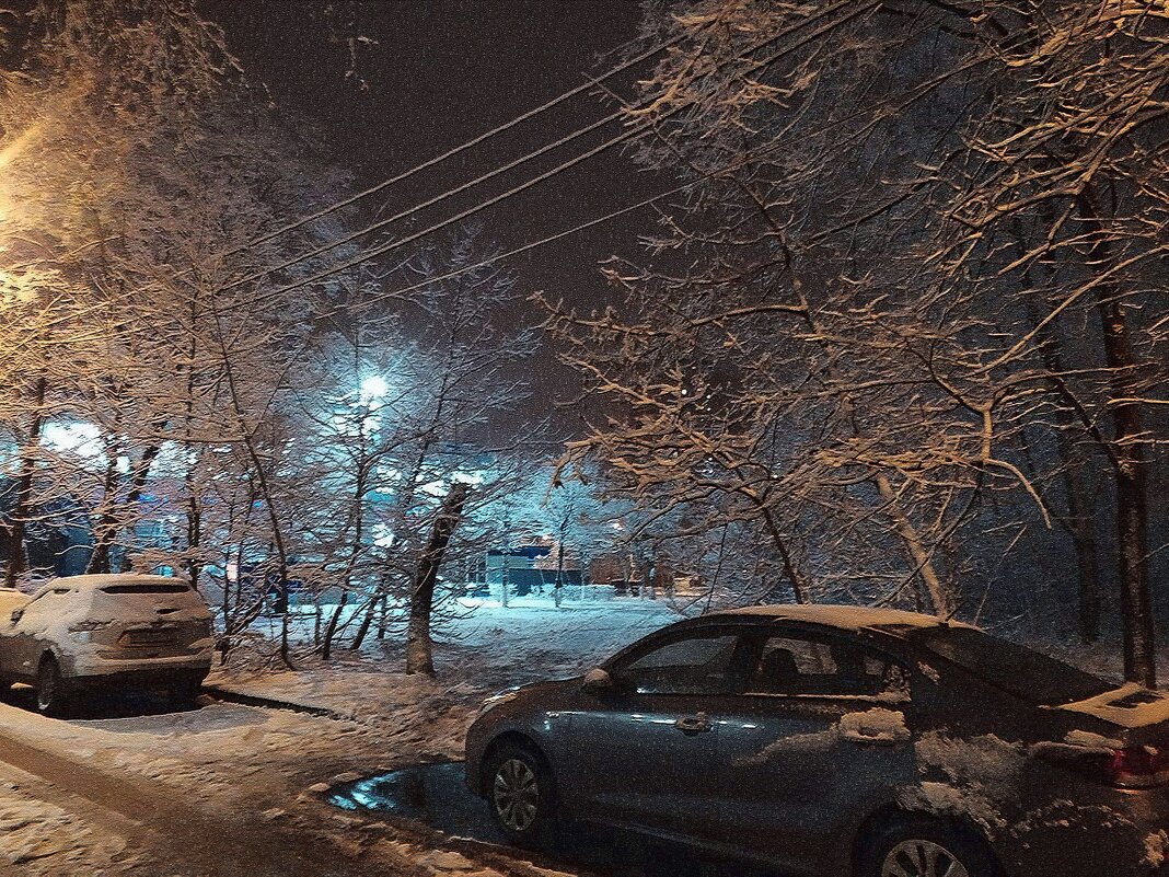 Машины  под снегом. Москва - Фотогруппа Весна