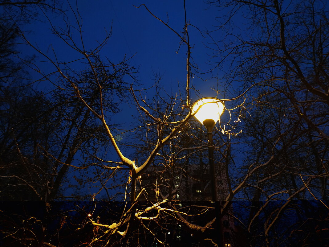 Ночь, улица, фонарь, аптека (за спиной в 50-ти метрах) - Андрей Лукьянов