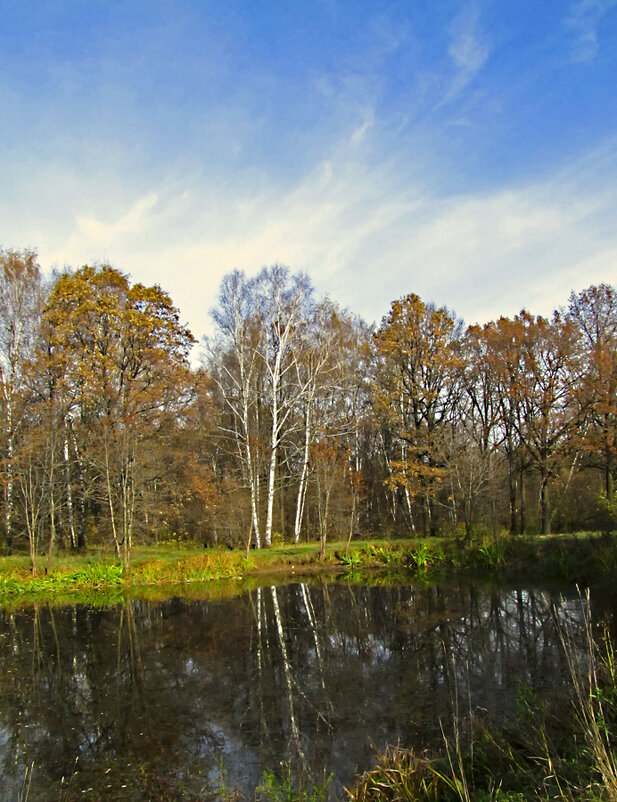 Осень в парке - Nikolay Monahov