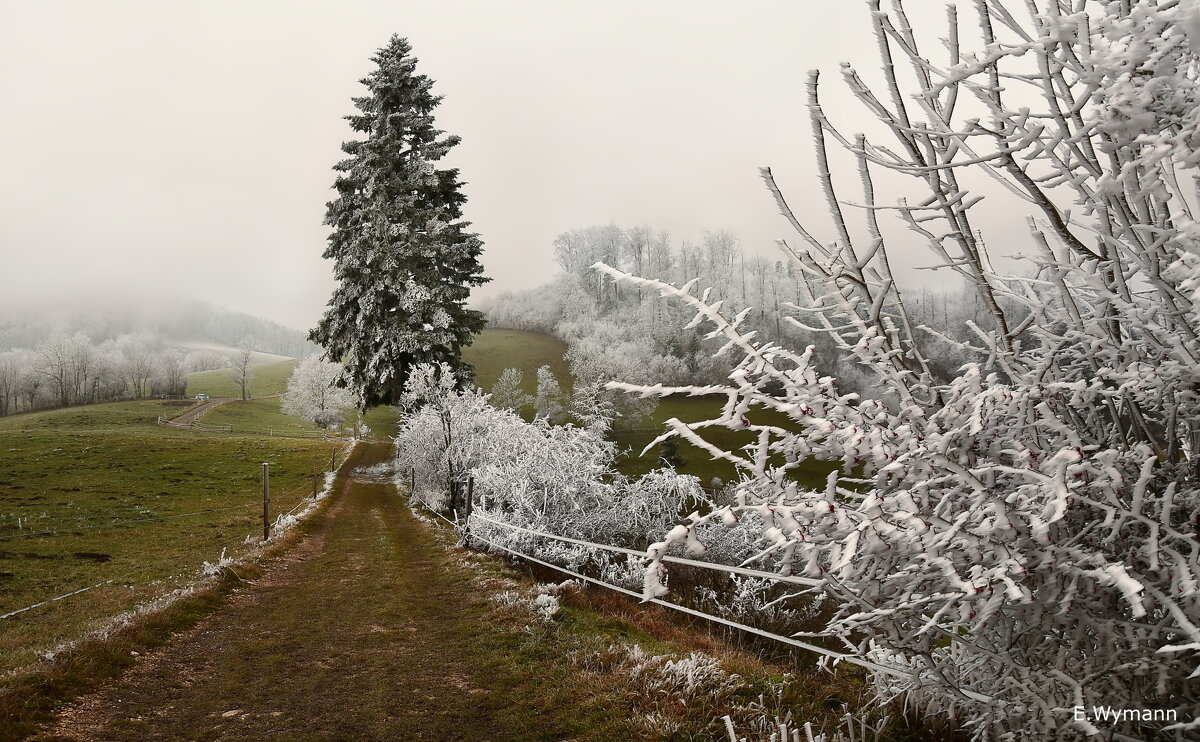 зима в Юрских горах - Elena Wymann