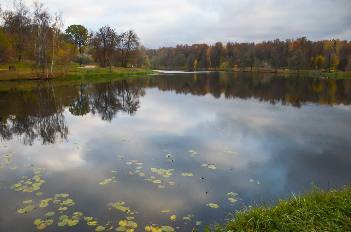 Осень в парке ,,Кузьминки,, - Ханжина Эльвира 