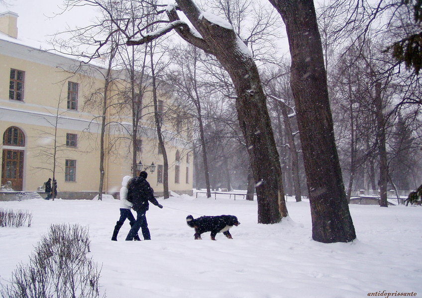 Прогулка в зимнем Павловске - vadim 