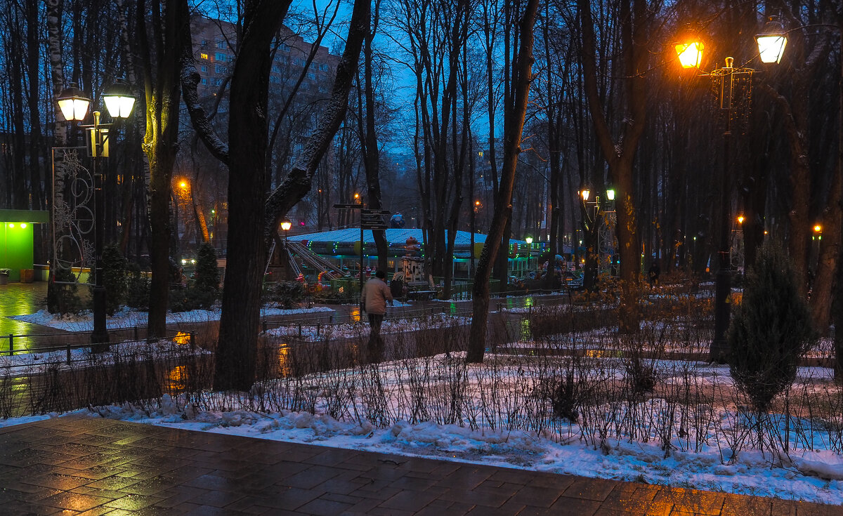 Вечер в Парке - юрий поляков