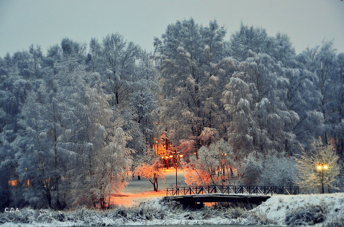Зима в Подмосковье - Дмитрий 