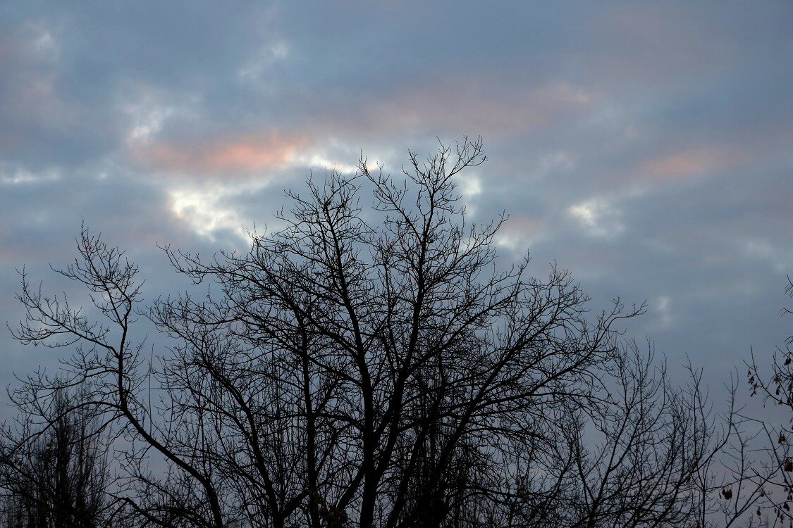 Утреннее небо декабря - Надежд@ Шавенкова
