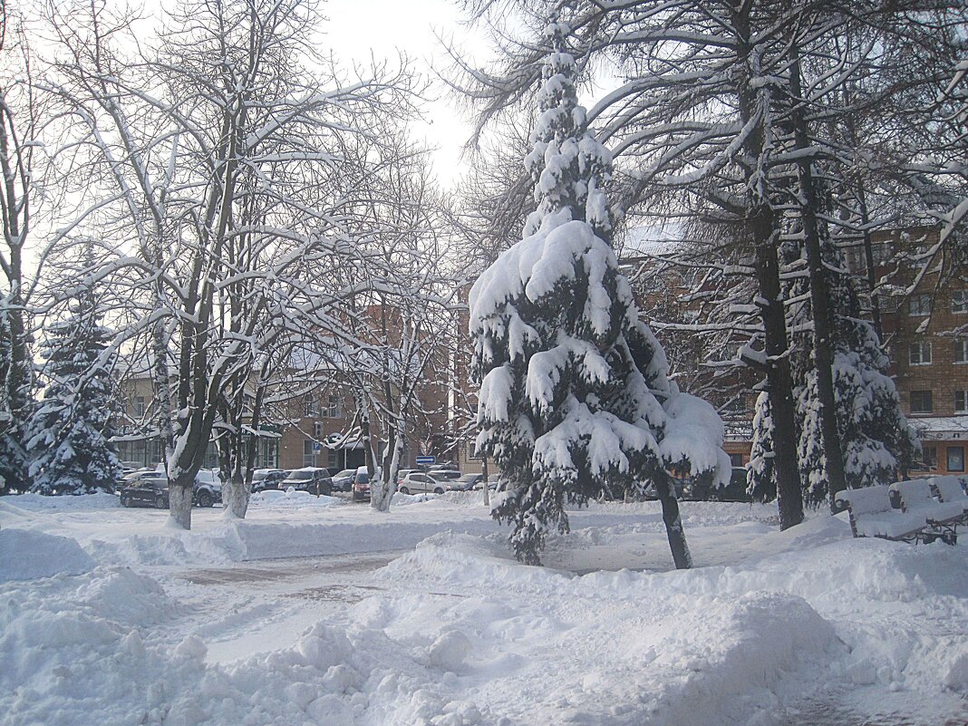 Снежной  зимой - Елена Семигина
