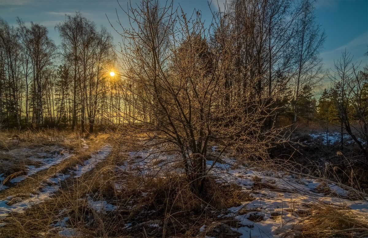 Морозное утро декабря # 3 - Андрей Дворников