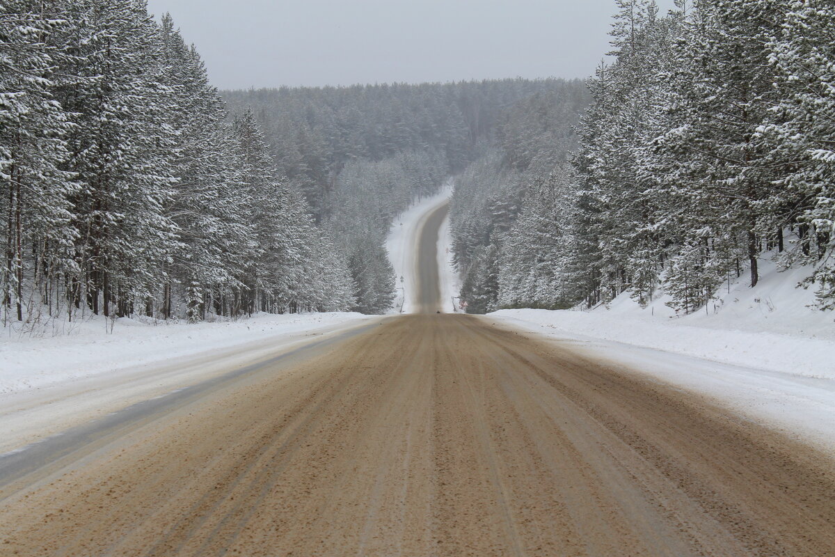 Зимняя дорога - tamara kremleva