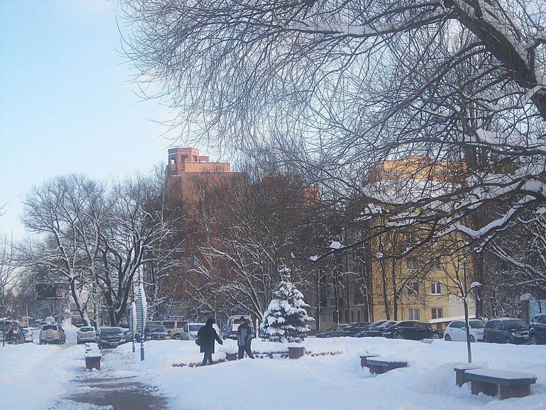 Зимой в моем городе - Елена Семигина