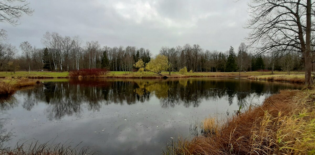 Александровский парк. Ноябрь - Наталья Герасимова