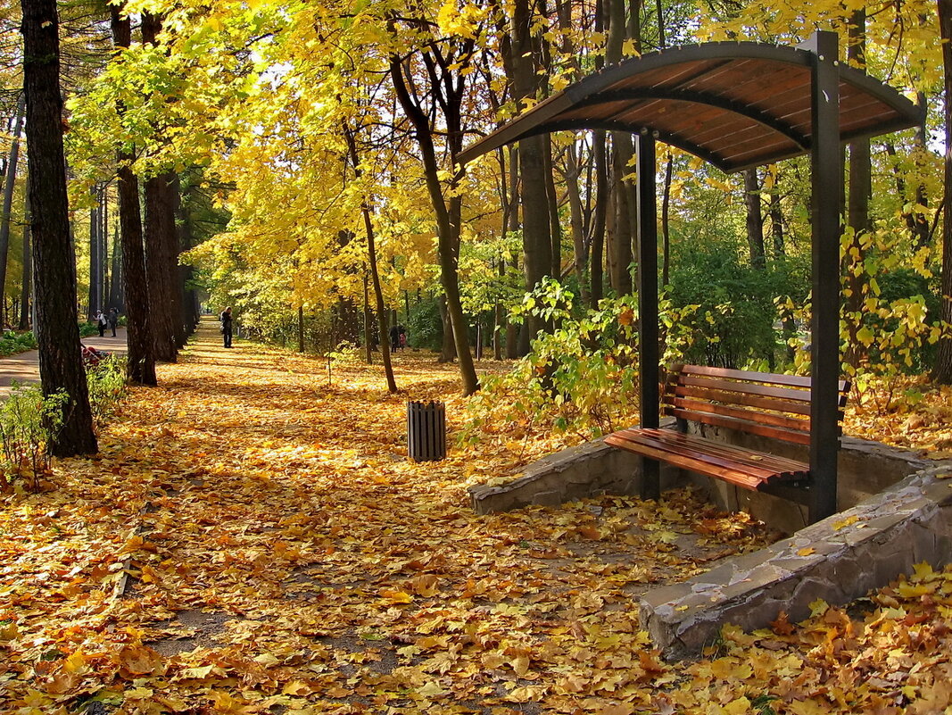 Осень в парке Сокольники - Влад Чуев