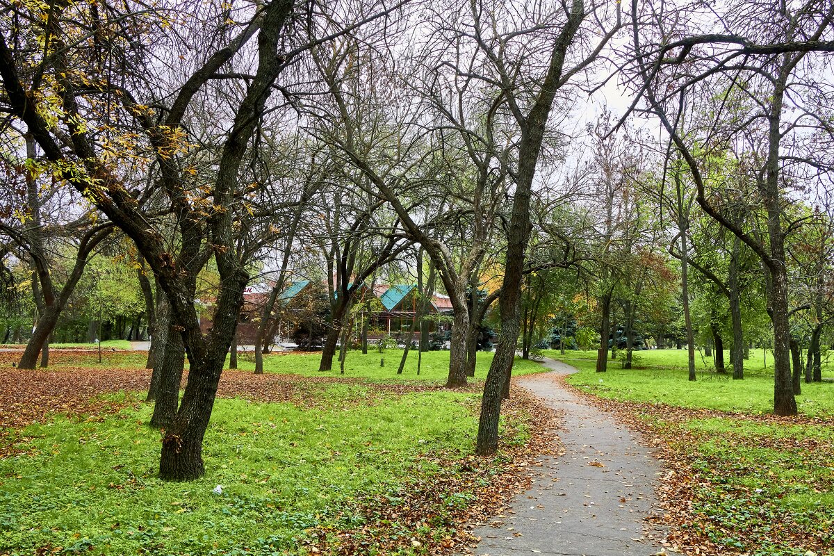Осенний парк в Херсоне - Алексей Р.