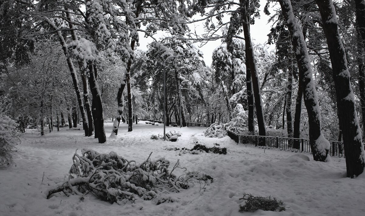 Ой, снега, снега белого насыпала зима..... - Volodymyr Shapoval VIS t