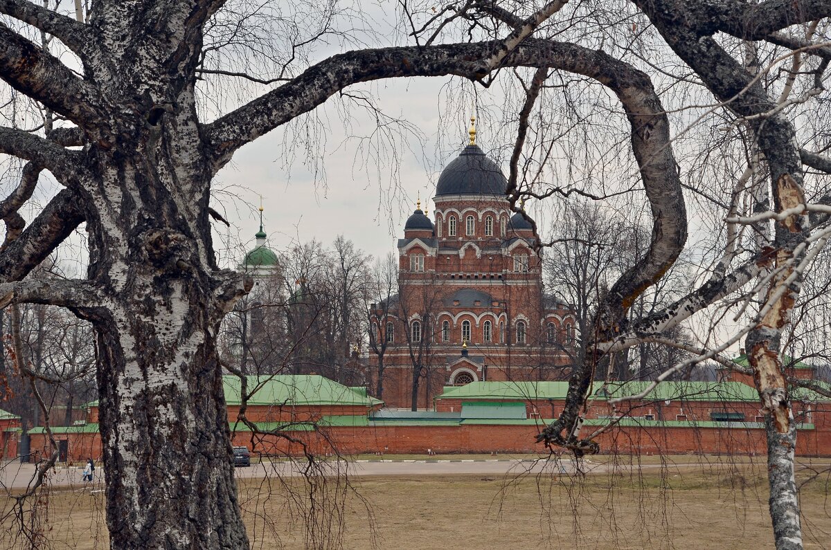 Спасо-Бородинский монастырь - Oleg4618 Шутченко