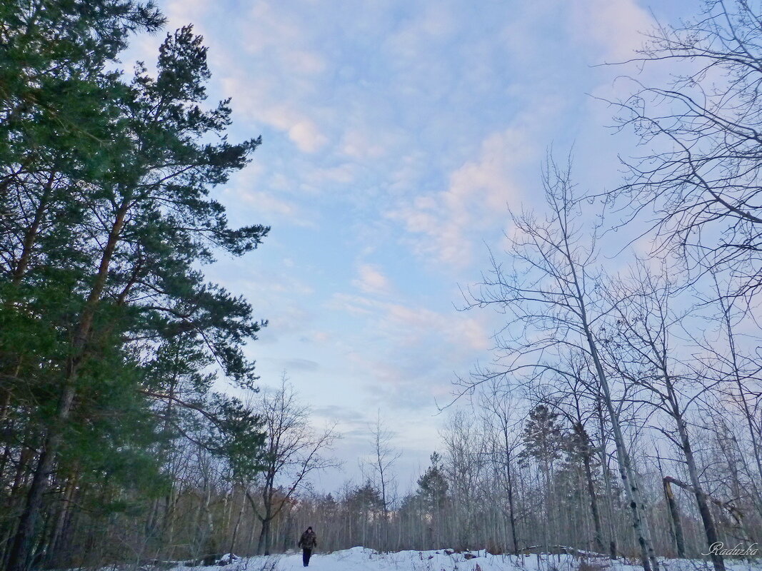 Зимнее небо в ясный денек - Raduzka (Надежда Веркина)
