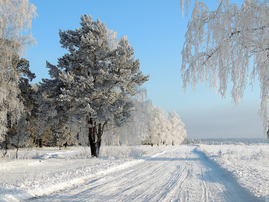 Зима кудесница - Светлана Медведева 