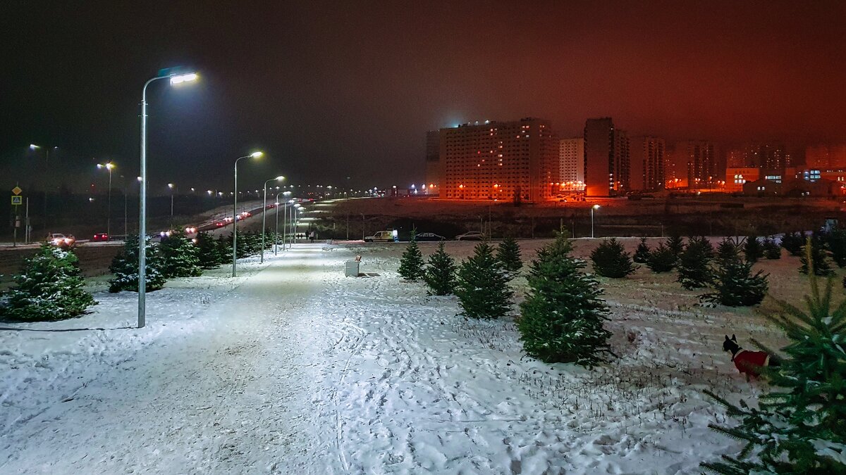 Green Park Нижневартовск зимой ночью