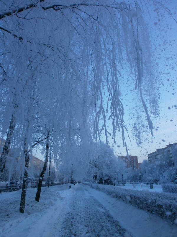 Зима..... - Алёна Савина